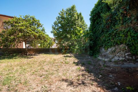 Terra a Sorso, Sassari, Sorso - € 75.000 | Ref: 13784 - foto 12