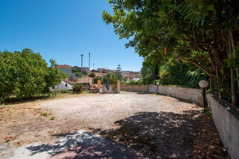 Terra a Sorso, Sassari, Sorso - € 75.000 | Ref: 13784 - foto 21