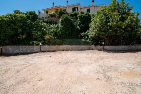 Terra a Sorso, Sassari, Sorso - € 75.000 | Ref: 13784 - foto 26