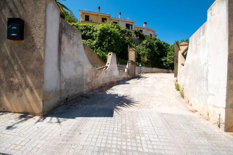 Terra a Sorso, Sassari, Sorso - € 75.000 | Ref: 13784 - foto 30