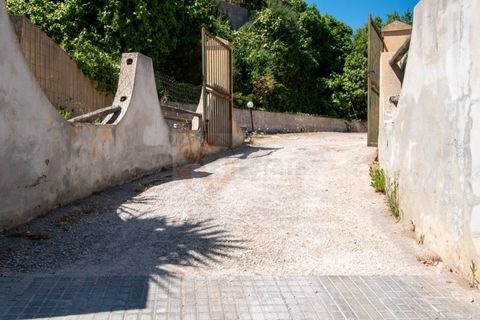 Terra a Sorso, Sassari, Sorso - € 75.000 | Ref: 13784 - foto 31