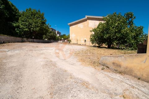 Terra a Sorso, Sassari, Sorso - € 75.000 | Ref: 13784 - foto 34