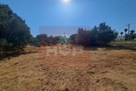 Helårsgrund i Almancil, Faro, Almancil - € 1.500.000 | Ref: 170250061 - foto 3