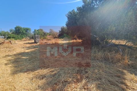 Helårsgrund i Almancil, Faro, Almancil - € 1.500.000 | Ref: 170250061 - foto 4