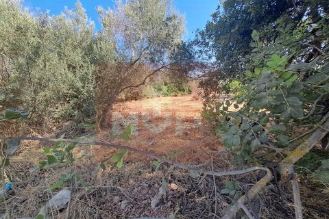 Helårsgrund i Almancil, Faro, Almancil - € 1.500.000 | Ref: 170250061 - foto 6