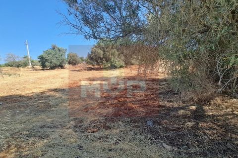 Helårsgrund i Almancil, Faro, Almancil - € 1.500.000 | Ref: 170250061 - foto 7