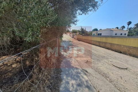 Helårsgrund i Almancil, Faro, Almancil - € 1.500.000 | Ref: 170250061 - foto 8