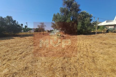 Helårsgrund i Almancil, Faro, Almancil - € 1.500.000 | Ref: 170250061 - foto 9