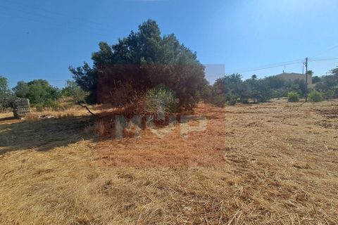 Helårsgrund i Almancil, Faro, Almancil - € 1.500.000 | Ref: 170250061 - foto 10