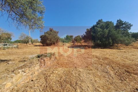 Helårsgrund i Almancil, Faro, Almancil - € 1.500.000 | Ref: 170250061 - foto 11