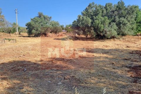 Helårsgrund i Almancil, Faro, Almancil - € 1.500.000 | Ref: 170250061 - foto 13