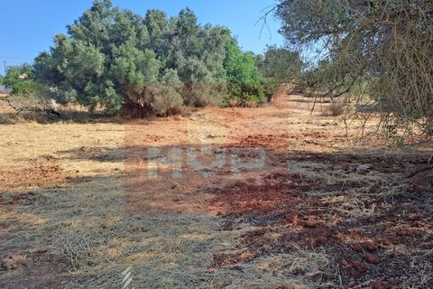 Helårsgrund i Almancil, Faro, Almancil - € 1.500.000 | Ref: 170250061 - foto 14