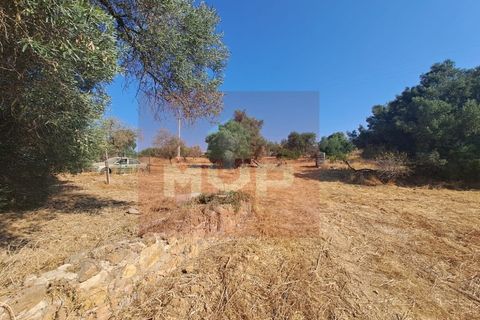 Helårsgrund i Almancil, Faro, Almancil - € 1.500.000 | Ref: 170250061 - foto 15
