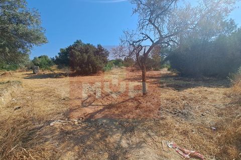 Helårsgrund i Almancil, Faro, Almancil - € 1.500.000 | Ref: 170250061 - foto 16