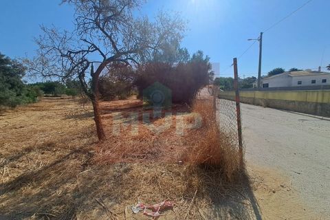 Helårsgrund i Almancil, Faro, Almancil - € 1.500.000 | Ref: 170250061 - foto 17
