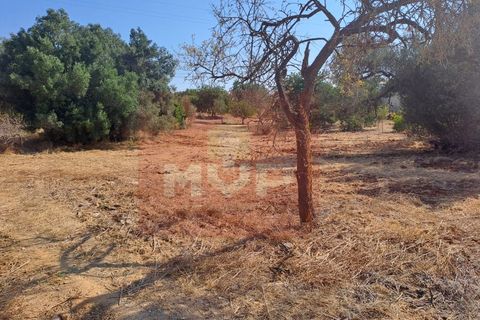 Helårsgrund i Almancil, Faro, Almancil - € 1.500.000 | Ref: 170250061 - foto 1