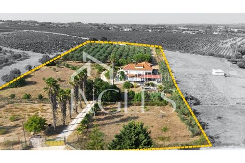 Villa a Cartaxo, Santarem, Cartaxo - € 495.000 | Ref: 1857 - foto 2