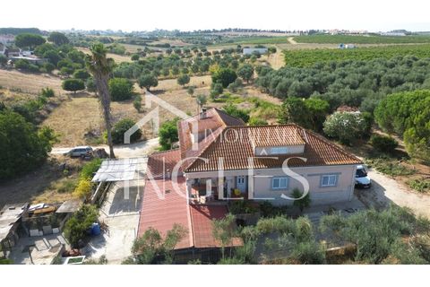 Villa a Cartaxo, Santarem, Cartaxo - € 495.000 | Ref: 1857 - foto 4