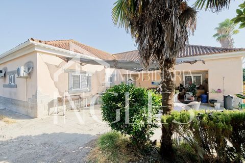 Villa a Cartaxo, Santarem, Cartaxo - € 495.000 | Ref: 1857 - foto 39
