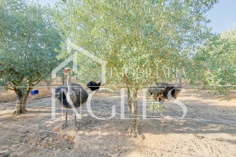 Villa a Cartaxo, Santarem, Cartaxo - € 495.000 | Ref: 1857 - foto 40