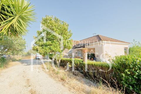 Villa a Cartaxo, Santarem, Cartaxo - € 495.000 | Ref: 1857 - foto 50