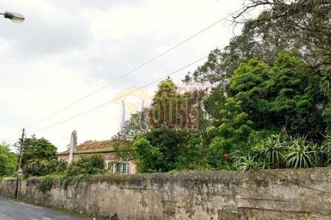 Farm i Belas, Lisbon, Belas - € 2.200.000 | Ref: 41288 - foto 2