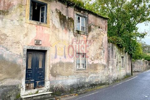 Farm i Belas, Lisbon, Belas - € 2.200.000 | Ref: 41288 - foto 3