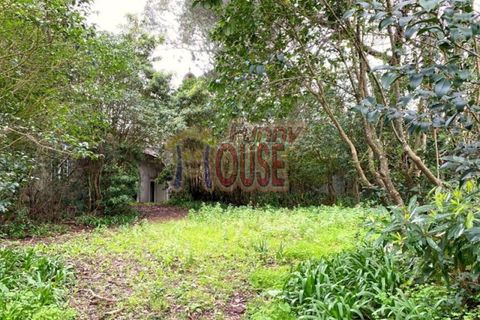 Farm i Belas, Lisbon, Belas - € 2.200.000 | Ref: 41288 - foto 4