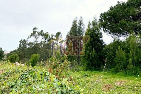 Farm i Belas, Lisbon, Belas - € 2.200.000 | Ref: 41288 - foto 5