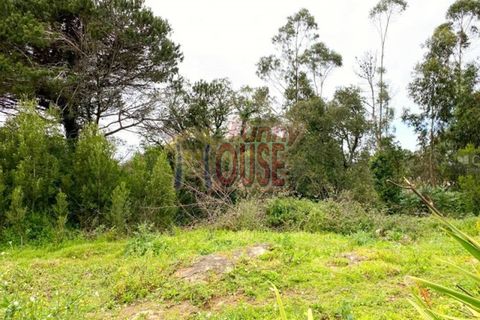 Farm i Belas, Lisbon, Belas - € 2.200.000 | Ref: 41288 - foto 6