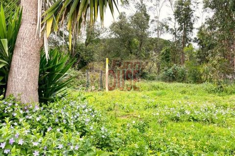 Farm i Belas, Lisbon, Belas - € 2.200.000 | Ref: 41288 - foto 7