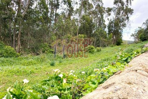 Farm i Belas, Lisbon, Belas - € 2.200.000 | Ref: 41288 - foto 8