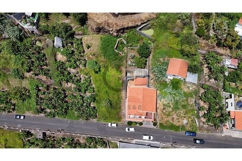 Helårsgrund i Calheta, Madeira, Calheta - € 190.000 | Ref: TER_21 - foto 5