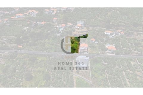 Helårsgrund i Calheta, Madeira, Calheta - € 190.000 | Ref: TER_21 - foto 10