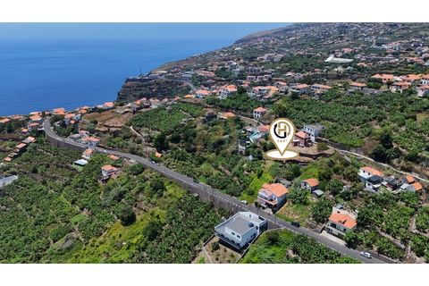Helårsgrund i Calheta, Madeira, Calheta - € 190.000 | Ref: TER_21 - foto 13