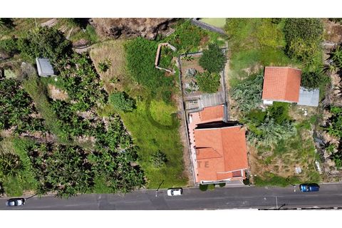 Helårsgrund i Calheta, Madeira, Calheta - € 190.000 | Ref: TER_21 - foto 15