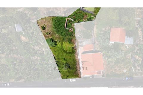 Helårsgrund i Calheta, Madeira, Calheta - € 190.000 | Ref: TER_21 - foto 16
