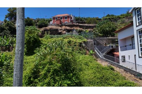 Helårsgrund i Calheta, Madeira, Calheta - € 190.000 | Ref: TER_21 - foto 23