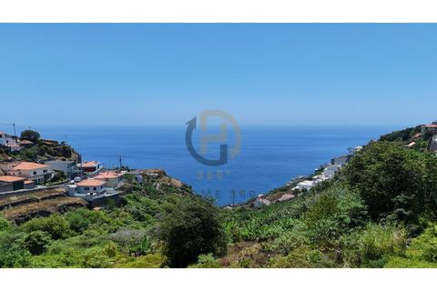 Helårsgrund i Calheta, Madeira, Calheta - € 190.000 | Ref: TER_21 - foto 25