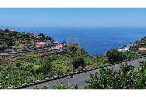 Helårsgrund i Calheta, Madeira, Calheta - € 190.000 | Ref: TER_21 - foto 27