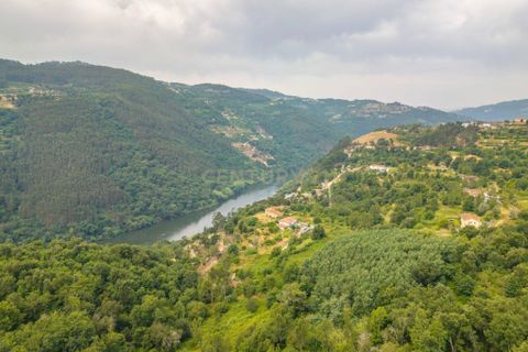 Villa i Penhalonga e Pacos de Gaiolo, Porto, Penhalonga e Pacos de Gaiolo - € 27.900 | Ref: C0471-00337 - foto 8