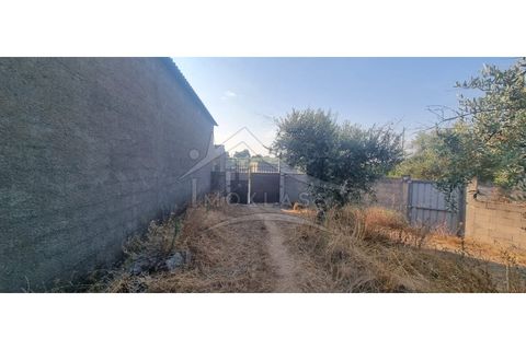 Terra a Alcains, Castelo Branco, Alcains - € 30.000 | Ref: SÒL_158 - foto 5