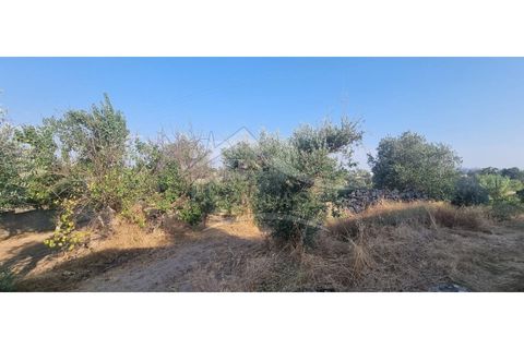 Terra a Alcains, Castelo Branco, Alcains - € 30.000 | Ref: SÒL_158 - foto 6