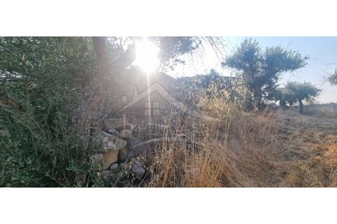 Terra a Alcains, Castelo Branco, Alcains - € 30.000 | Ref: SÒL_158 - foto 8