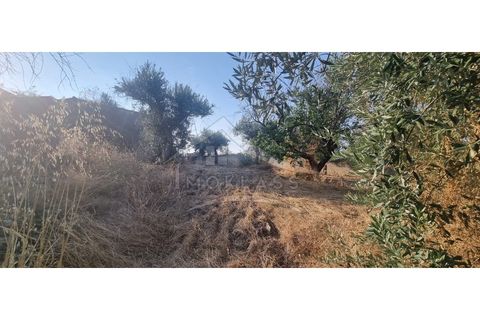 Terra a Alcains, Castelo Branco, Alcains - € 30.000 | Ref: SÒL_158 - foto 9