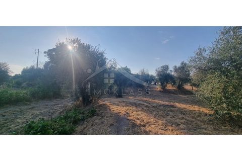 Terra a Alcains, Castelo Branco, Alcains - € 30.000 | Ref: SÒL_158 - foto 15