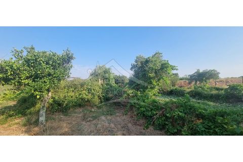 Terra a Alcains, Castelo Branco, Alcains - € 30.000 | Ref: SÒL_158 - foto 20