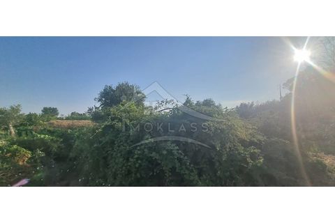 Terra a Alcains, Castelo Branco, Alcains - € 30.000 | Ref: SÒL_158 - foto 24