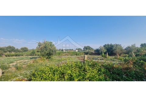 Terra a Alcains, Castelo Branco, Alcains - € 30.000 | Ref: SÒL_158 - foto 25
