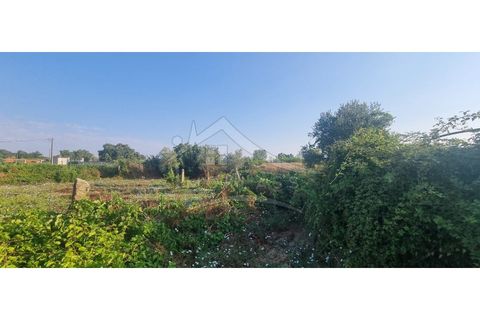 Terra a Alcains, Castelo Branco, Alcains - € 30.000 | Ref: SÒL_158 - foto 26